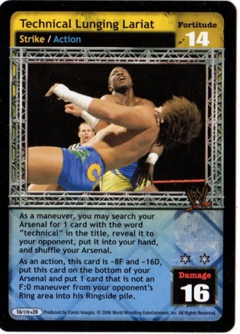 Technical Lunging Lariat